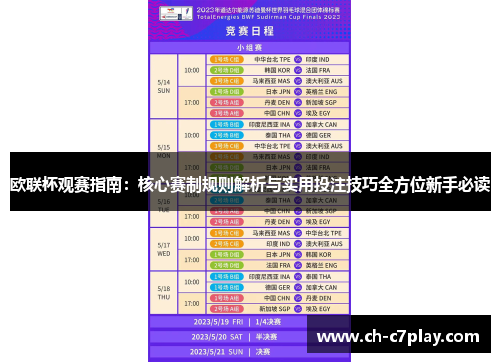 欧联杯观赛指南：核心赛制规则解析与实用投注技巧全方位新手必读
