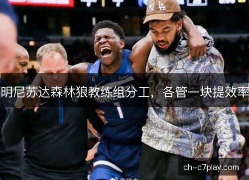 明尼苏达森林狼教练组分工,各管一块提效率 明尼苏达森林狼教练组分工,各管一块提效率